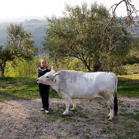 Tourist Farm Robivera Šmarje 외부 사진