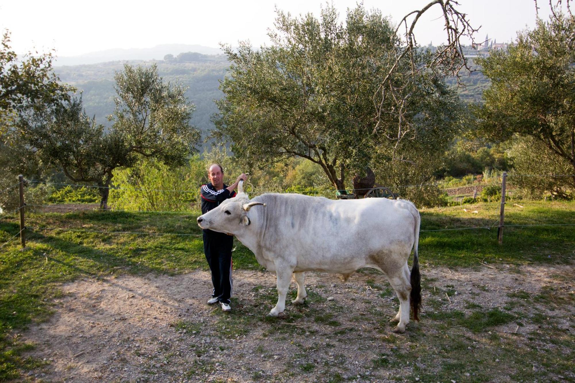 Tourist Farm Robivera Šmarje 외부 사진